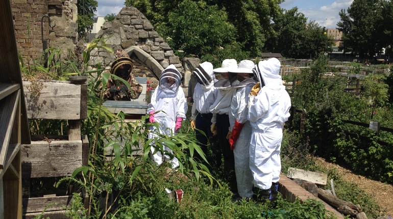 Become a Buzzing Beekeeper for a Day